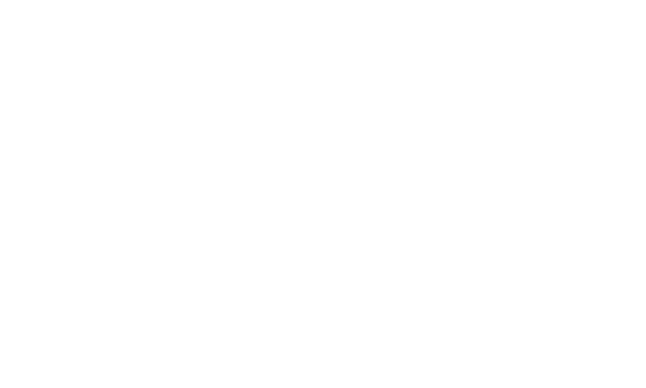 BelleBridge